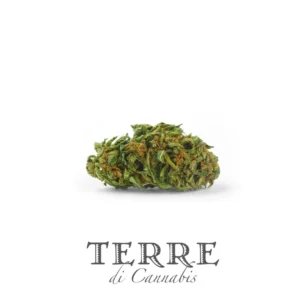 TERRE di Cannabis-Volare Ανθοί Κάνναβης 2gr (CBD 18%)